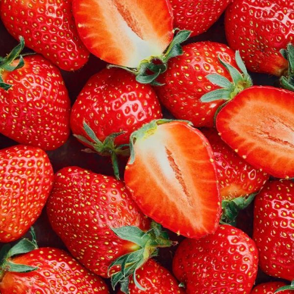 Honeybalm Strawberry Baume Lèvres Fraise 6.5g – Hydratation et éclat