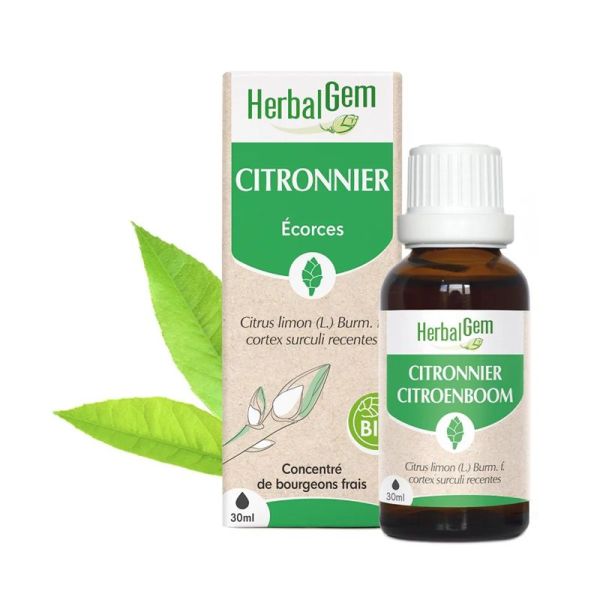 Herbalgem Concentré de Bourgeon de Citronnier Bio - 30ml