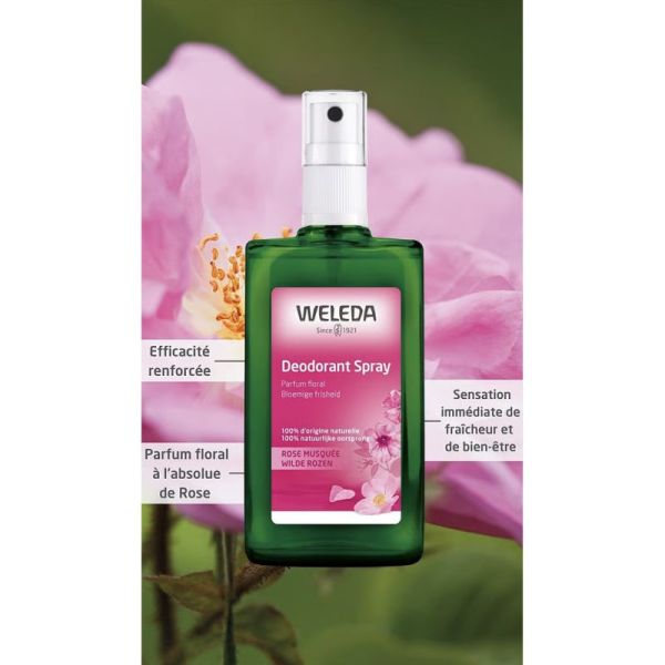 Weleda Déodorant Spray à la Rose Musquée 100ml – Féminité et fraîcheur florale