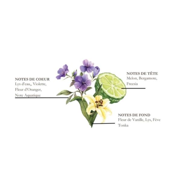 Collines de Provence Bouquet Parfumé Lys Tigré & Lotus – diffusion florale continue et apaisante