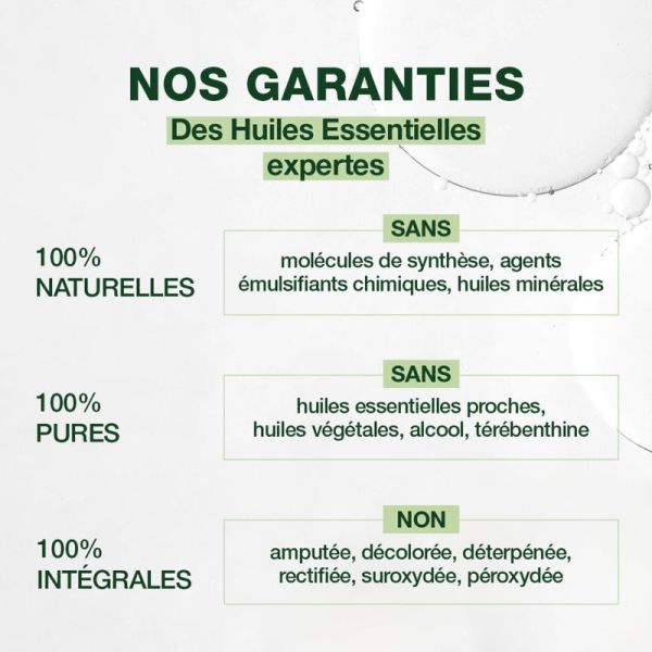 Pranarôm Huile Essentielle Ravintsara Bio 10ml – Immunité et tonus
