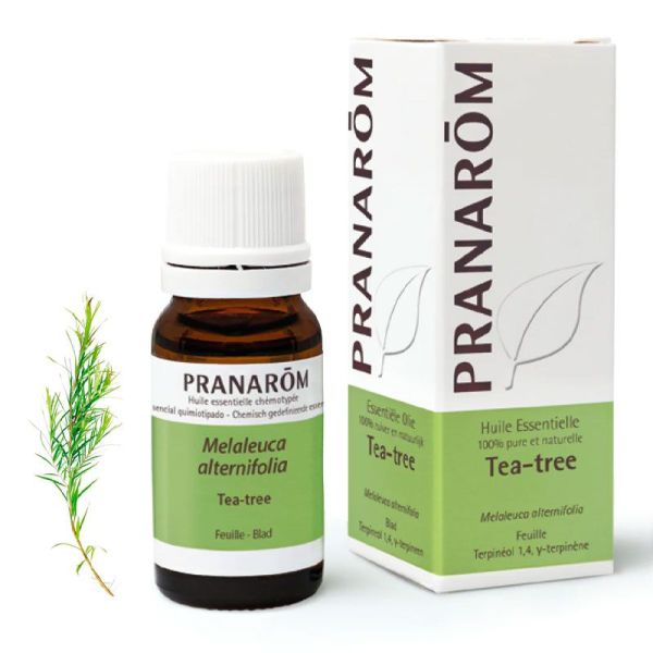 Pranarom Tea-Tree 10 ml - Huille essentielle