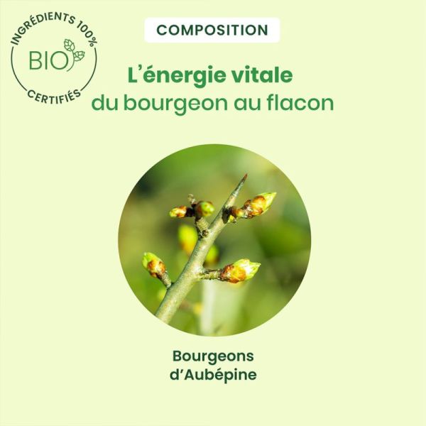 HerbalGem Aubépine Bio 30ml – Apaisement et équilibre cardiaque