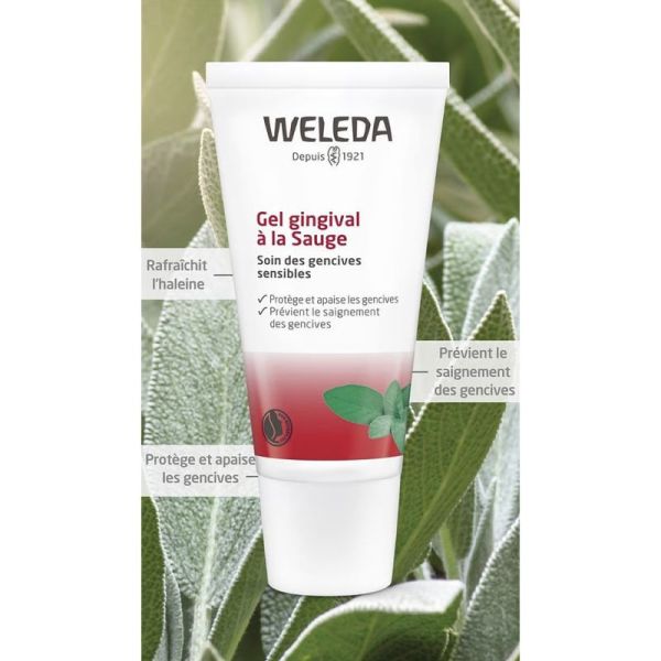 Weleda Gel Gingival à la Sauge 30ml – Apaisement et fortification des gencives