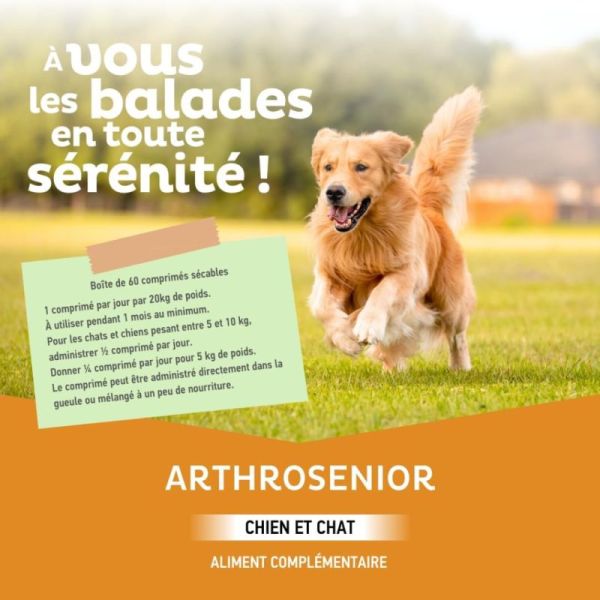 Clément Thékan Arthrosenior Articulations Chien et Chat - 60 comprimés