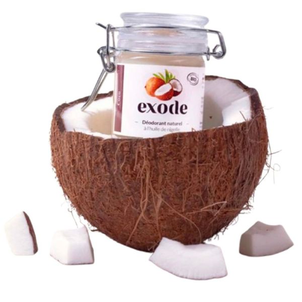 Exode Déodorant Baume Bio à l'Huile de Nigelle 50g Coco – Efficacité 48h