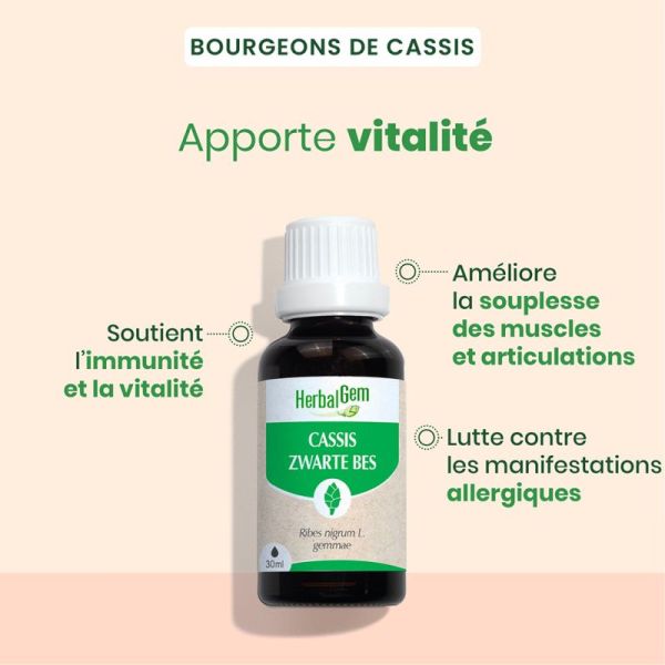 HerbalGem Cassis Bio 30ml – Vitalité et confort articulaire