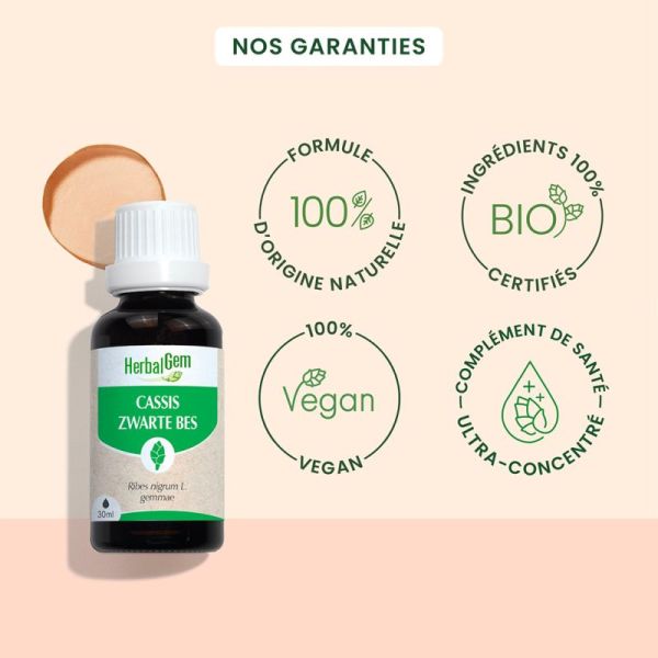HerbalGem Cassis Bio 30ml – Vitalité et confort articulaire