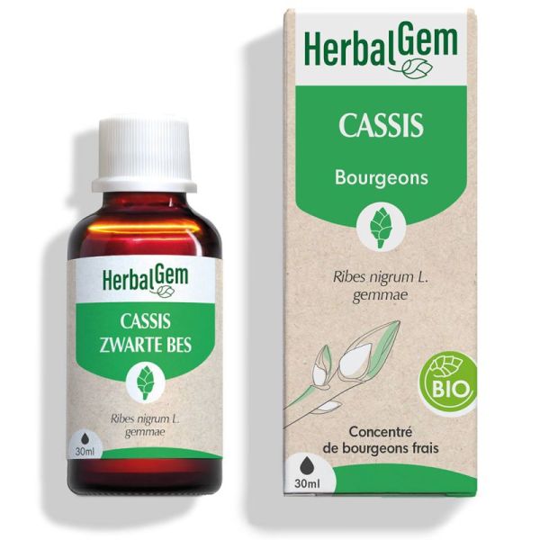 HerbalGem Cassis Bio 30ml – Vitalité et confort articulaire