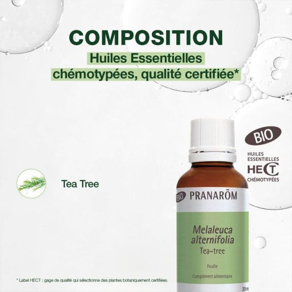 Pranarôm Huile Essentielle Tea-Tree Bio 30ml – Purifiant et antioxydant