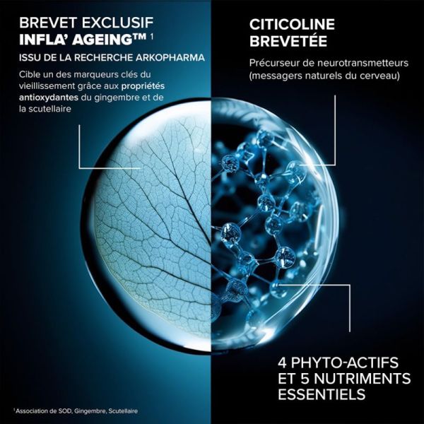 Arkopharma Santé Longévité Cérébrale 60 gélules – Préservation des fonctions cognitives et de la mémoire