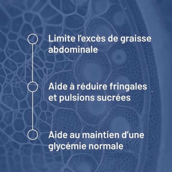 Valbiotis Pro® Santé Métabolique 90 gélules - La solution naturelle pour rééquilibrer votre métabolisme