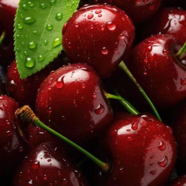 Honeybalm Cherry SPF 25 Baume à lèvres 6,5 g - Soin teinté protecteur aux extraits de cerise