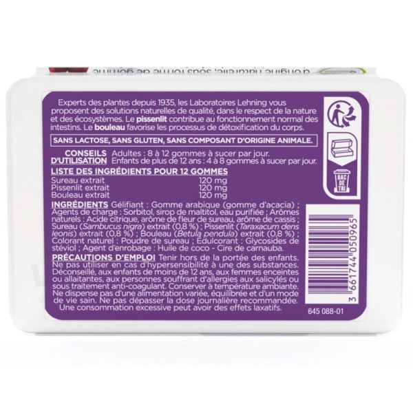 Lehning Pâte Suisse Détox Favorise l'Élimination - 40 Gommes
