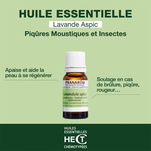 Pranarōm Huile Essentielle Lavande Aspic Bio - 30ml - Purifie, apaise et soutient le bien-être