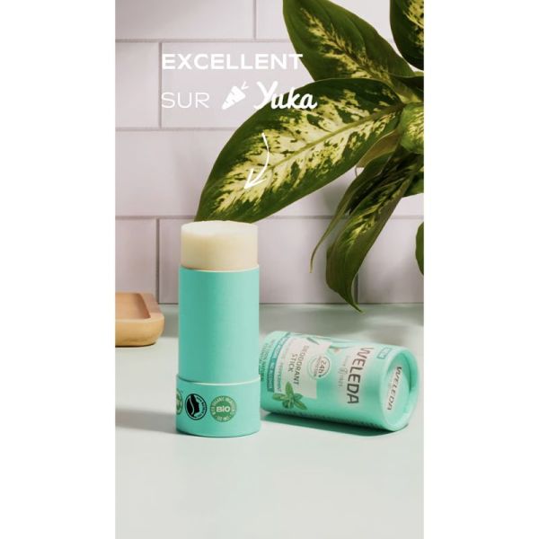 Weleda Déodorant Stick Eucalyptus Menthe Poivrée 50g – Fraîcheur intense solide