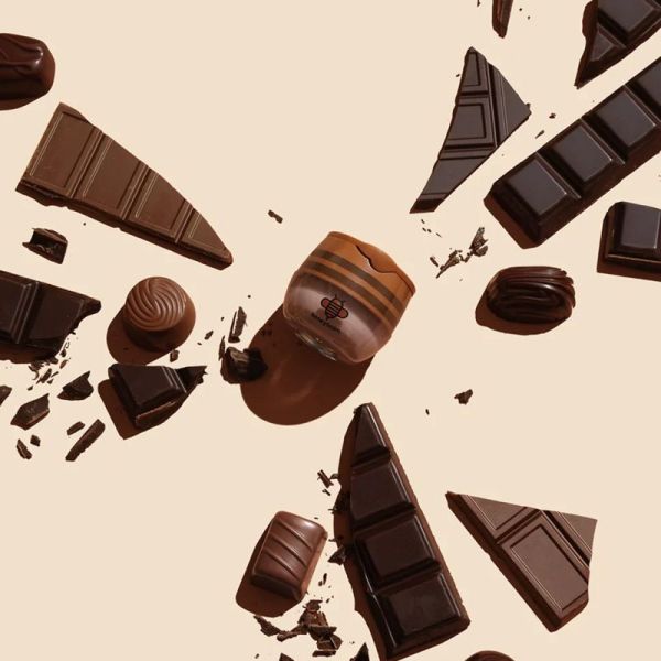 Honeybalm Chocolate Baume Lèvres Chocolat 6.5g – Hydratation et brillance
