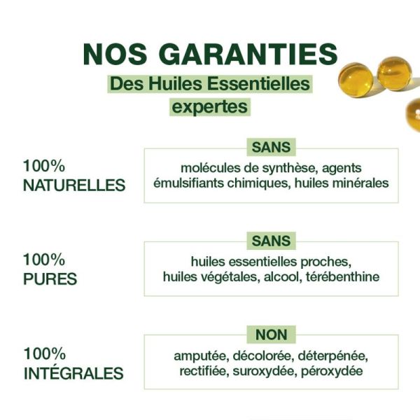 Pranarôm Perles d'Huile Essentielle Ravintsara Bio 60 Perles – Défenses et vitalité