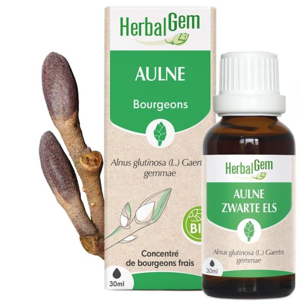 HerbalGem Aulne Bio 30ml – Muqueuses et circulation