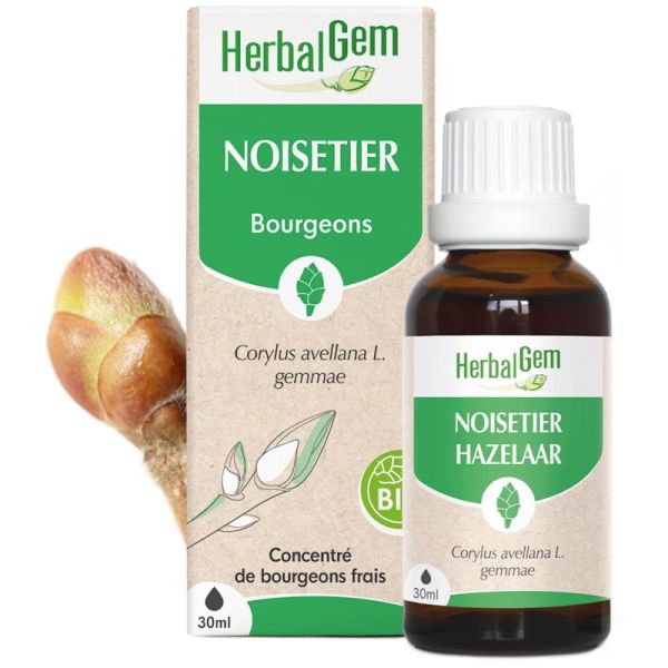 HerbalGem Noisetier Bio 30ml – Drainage pulmonaire et respiration