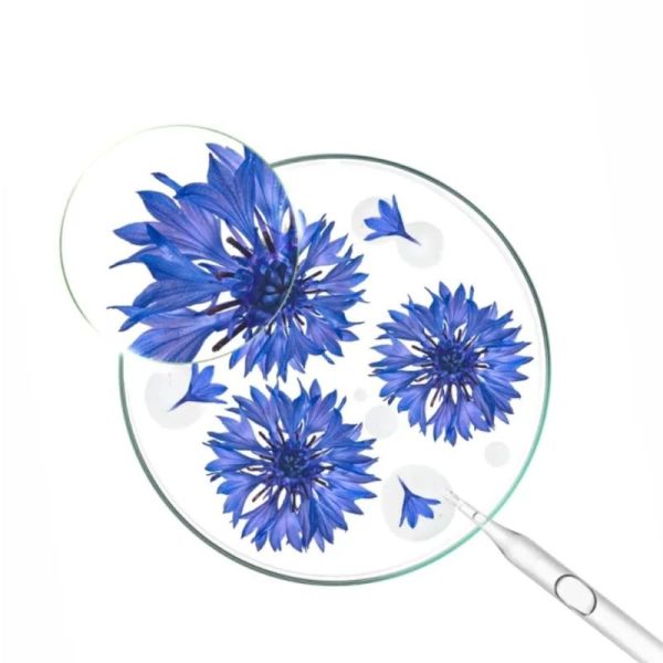 Klorane Patchs yeux lissants hydro-gel 7 paires - Bleuet bio et acide hyaluronique pour un regard défatigué