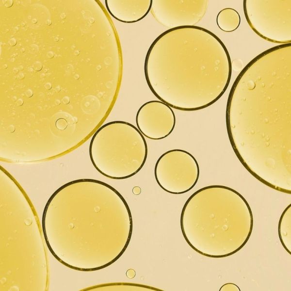 Melvita Huile de Beauté de Noyau d'Abricot Bio 50 ml