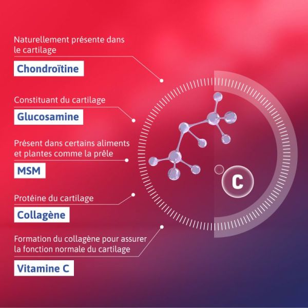 Alvityl Chondroflex - 60 comprimés - Confort articulaire et protection du cartilage