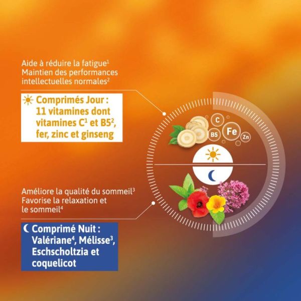 Alvityl Vitalité Jour-Nuit - 11 vitamines, 6 minéraux - Energie + Sommeil de qualité