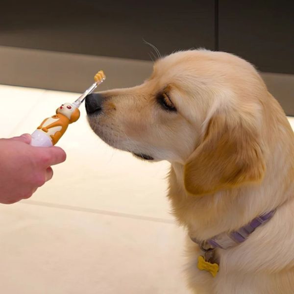 Neopulse Brosse à Dents pour Chien NEODOG - Brossage manuel ou micro-vibrations