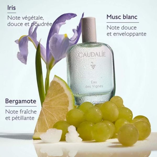 Caudalie Eau Fraîche Eau des Vignes - 50 ml - Parfum de caractère