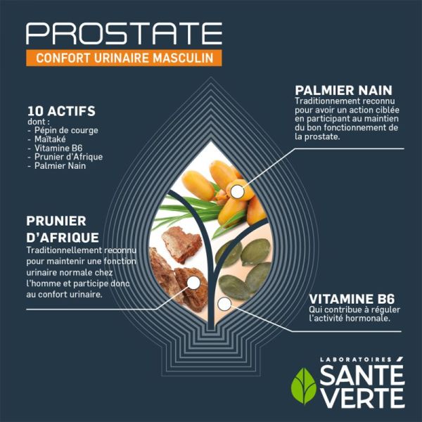 Santé Verte Prostate 60 Comprimés – Confort urinaire et fonctionnement de la prostate