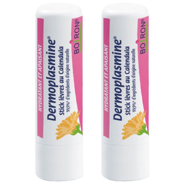 Boiron Dermoplasmine Stick à Lèvres au Calendula Bio Lot de 2 x 4g