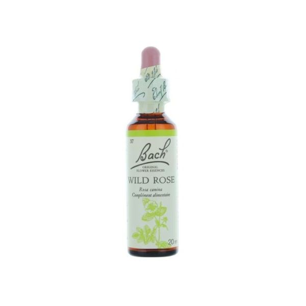 Fleurs de Bach Wild rose n°37 20 ml