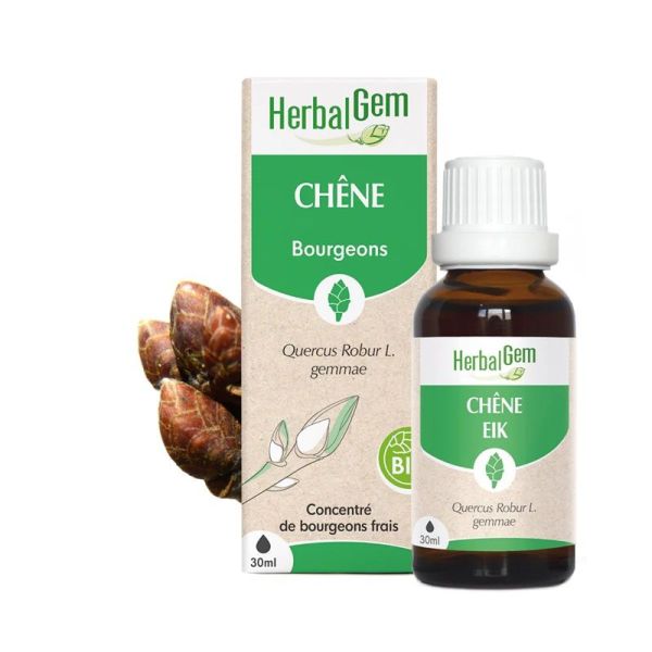 Herbalgem Concentré de Bourgeon Chêne Bio - 30ml