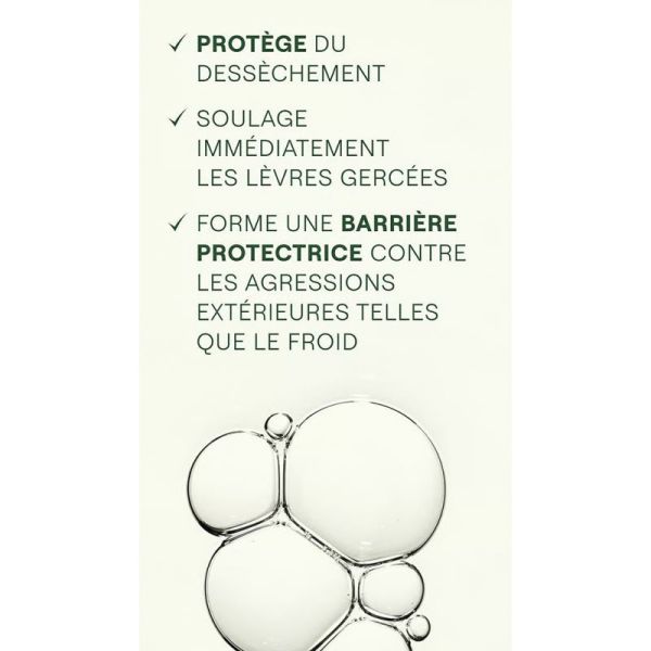 Weleda Skin Food Baume Lèvres Soin Nourrissant Intensif 8ml – Hydratation et réparation