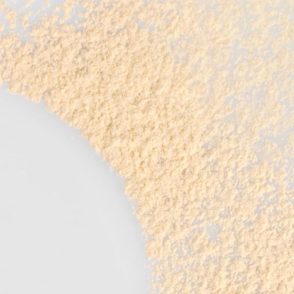 Erborian Set & Care Powder 9,5g - Fixation du maquillage, effet matifiant et lissant