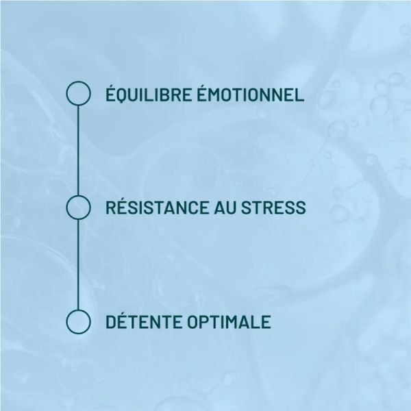 Valbiotis Plus® Sérénité Stress, Irritabilité & Fatigue Émotionnelle - 60 Comprimés