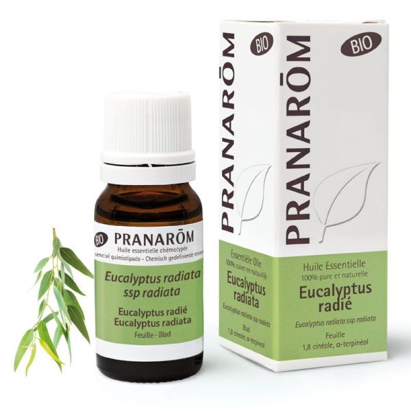 Pranarom Eucalyptus radié Bio 10 ml