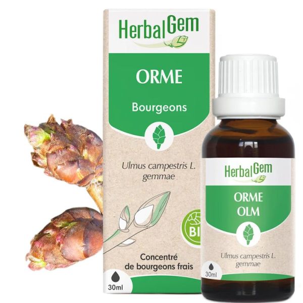 HerbalGem Orme Bio 30ml – Drainage et pureté de la peau