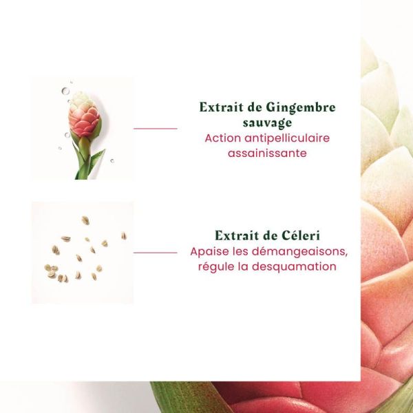 René Furterer Neopur Shampoing Antipelliculaire Pellicules Sèches - 150 ml - Équilibre du Microbiome