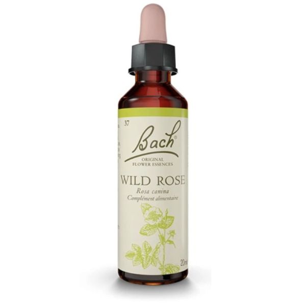 Fleurs de Bach Wild Rose 20ml – Motivation et joie de vivre