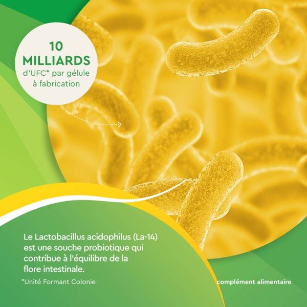 Euphytose Confort Intestinal - 28 gélules
