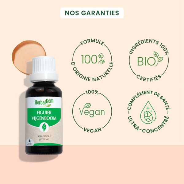 HerbalGem Figuier Bio 30ml – Estomac et sérénité