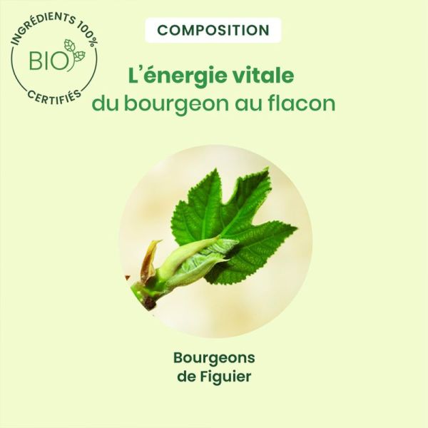 HerbalGem Figuier Bio 30ml – Estomac et sérénité