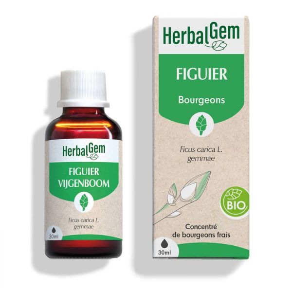 HerbalGem Figuier Bio 30ml – Estomac et sérénité