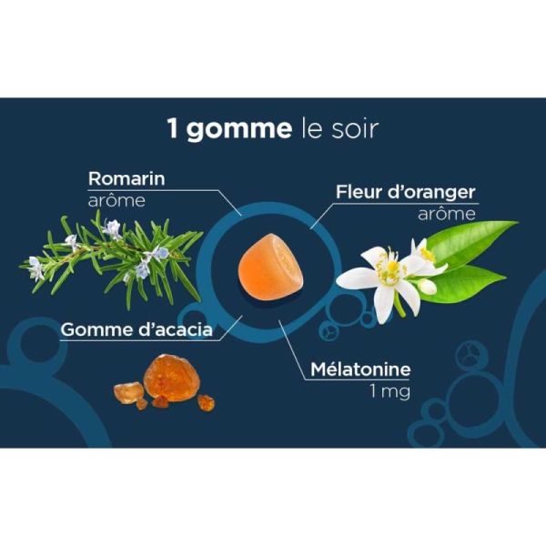 Lehning Pâte Suisse Bonne Nuit Réduit le Temps d'Endormissement - 40 Gommes