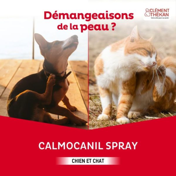 Clément Thékan Calmocanil Spray Anti-Démangeaison pour Chiens et Chats - 200 ml