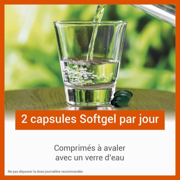 Vitascorbol C500 + Zinc + Vitamine D - 30 Capsules - Anti Fatigue et Renfort du Système Immunitaire