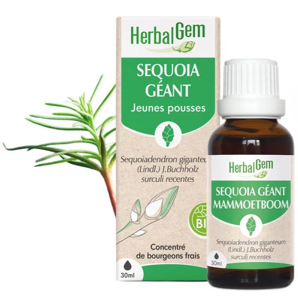 HerbalGem Sequoia Bio 30ml – Tonus et vitalité