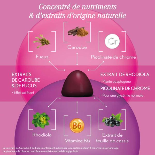 Oenobiol Gummies Minceur - 60 Gommes - Aide à la perte de poids et au métabolisme des graisses
